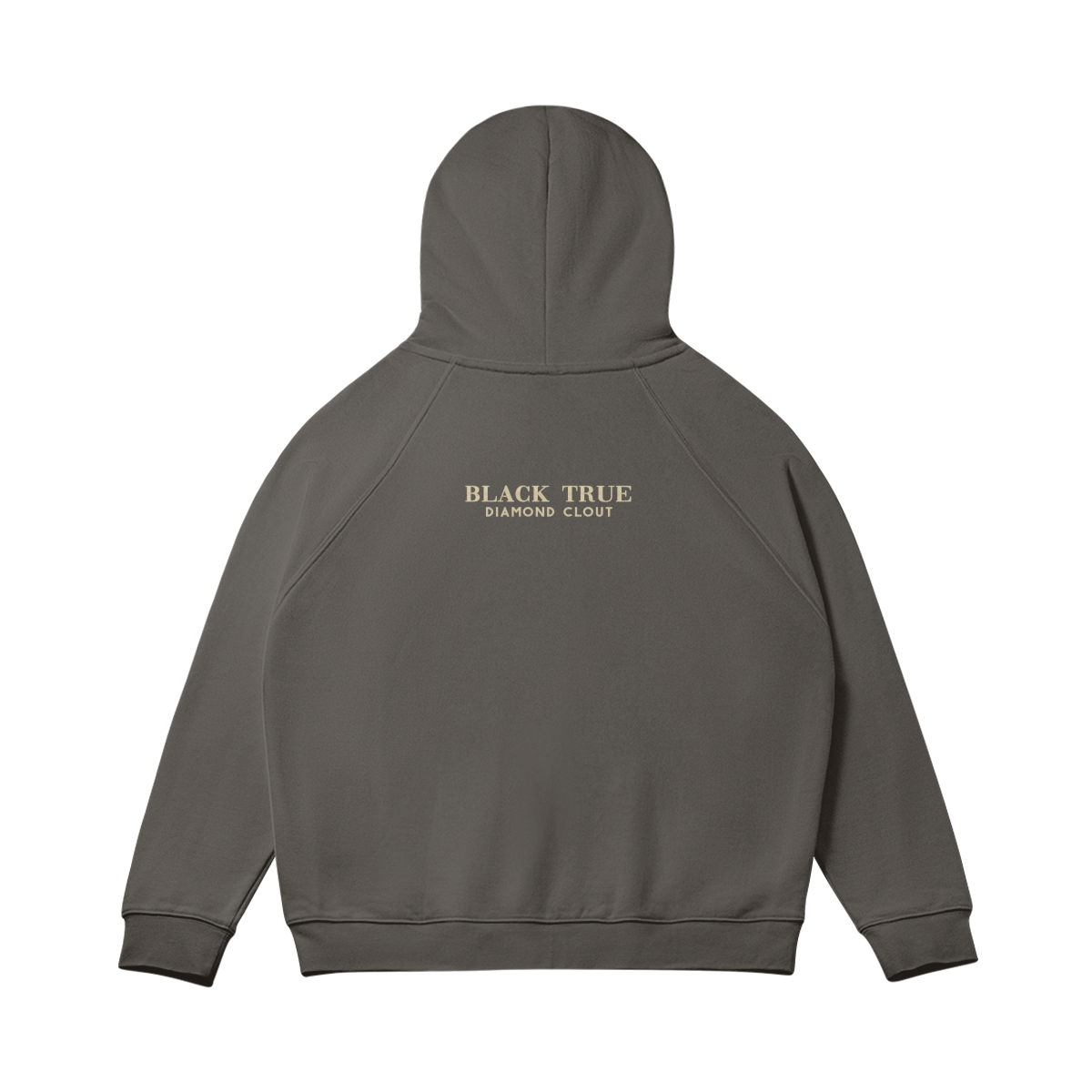 BTDC Hoodie