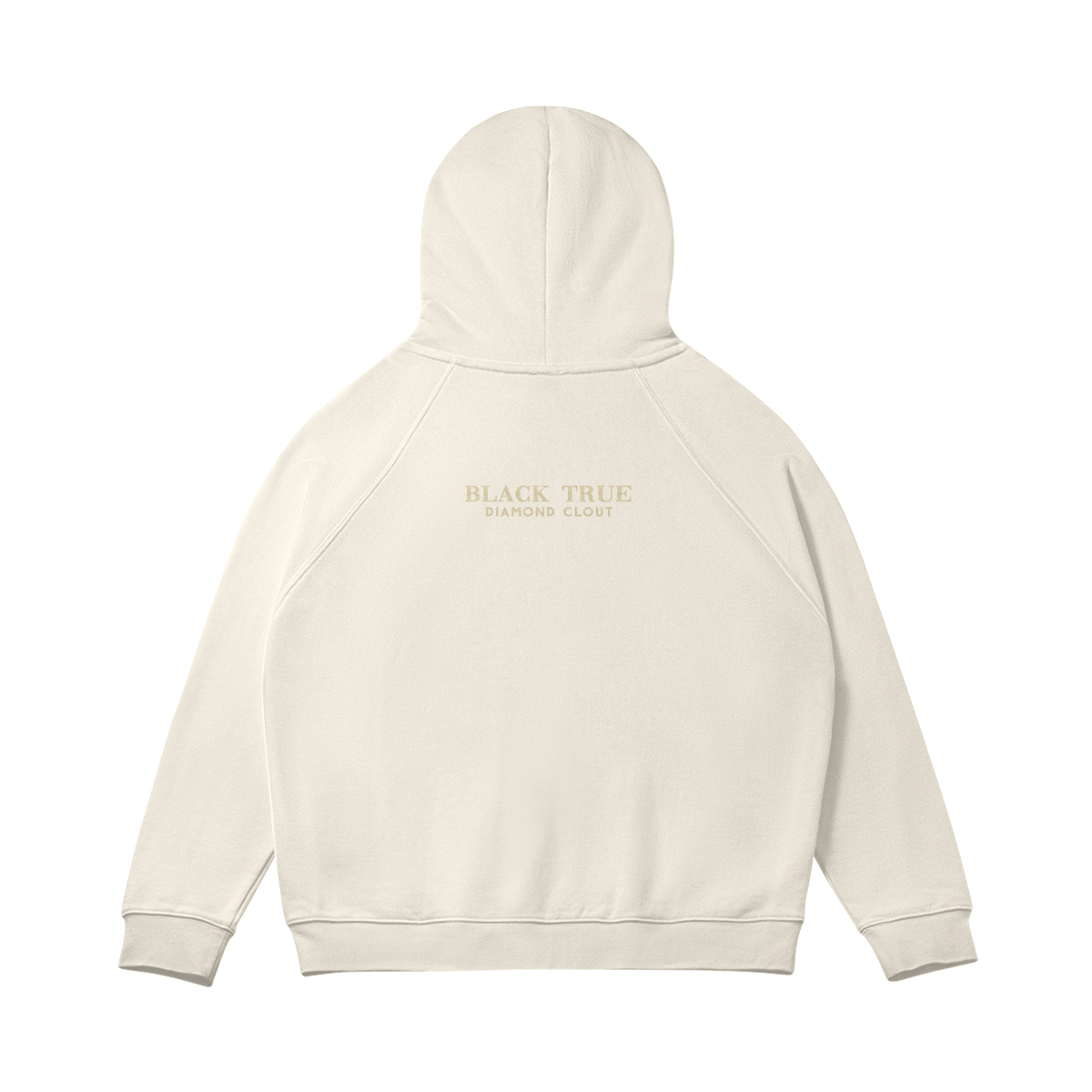 BTDC  Hoodie