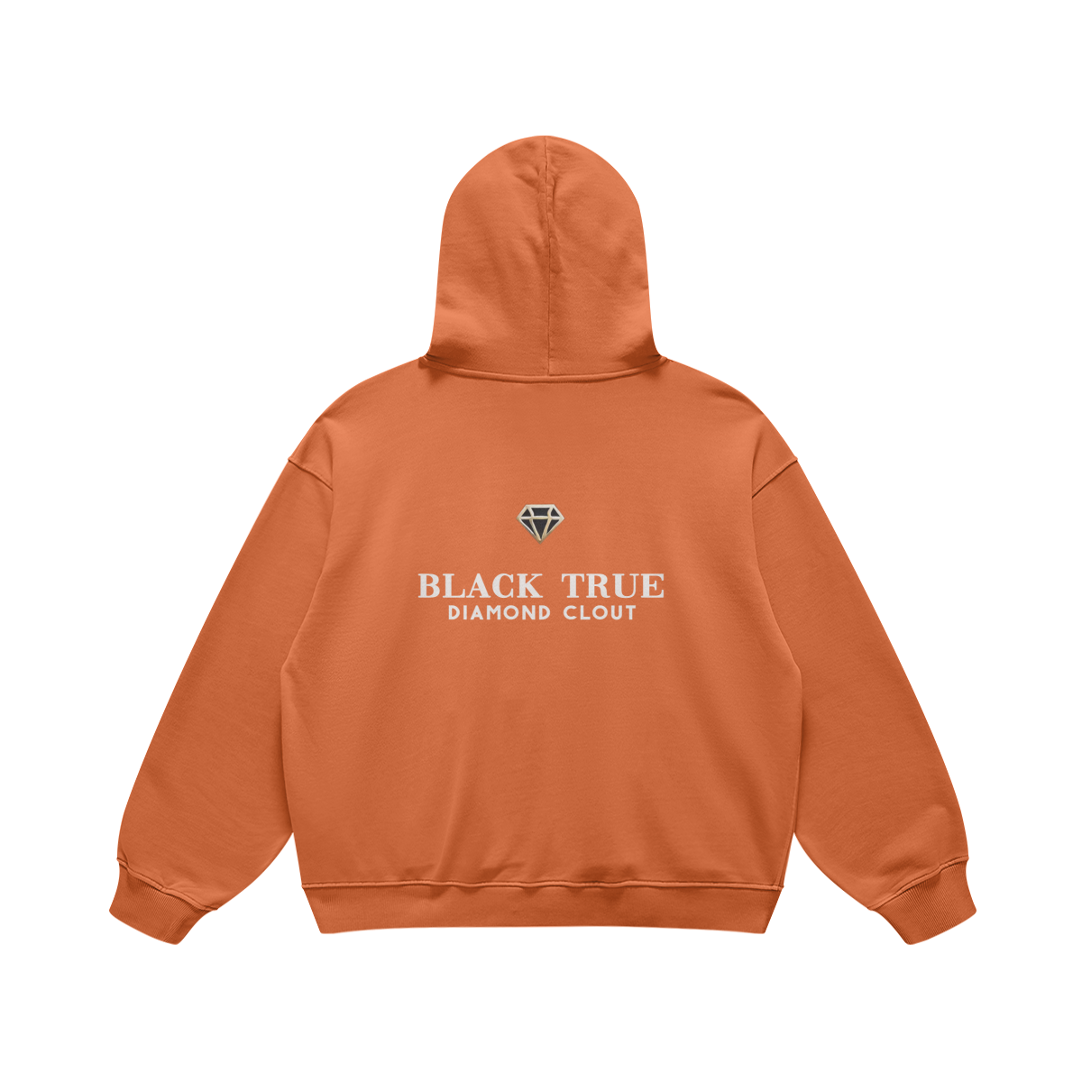 BTDC - Embroidery oversized hoodie